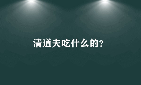 清道夫吃什么的？