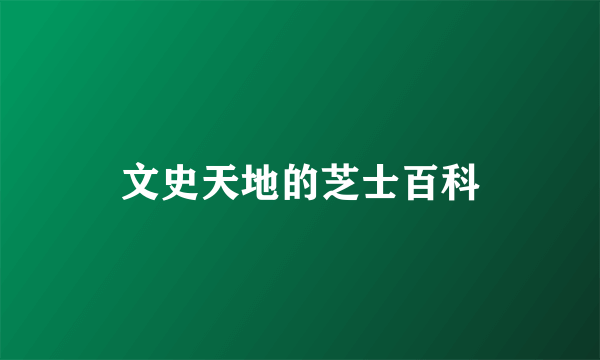 文史天地的芝士百科