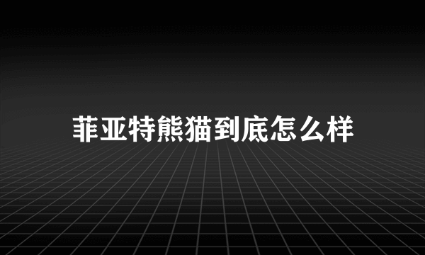 菲亚特熊猫到底怎么样