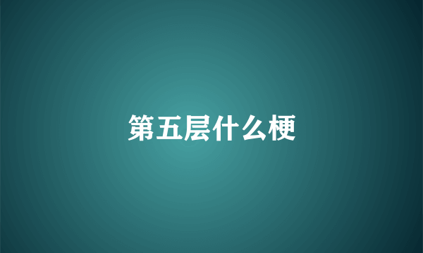 第五层什么梗