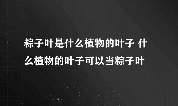 粽子叶是什么植物的叶子 什么植物的叶子可以当粽子叶