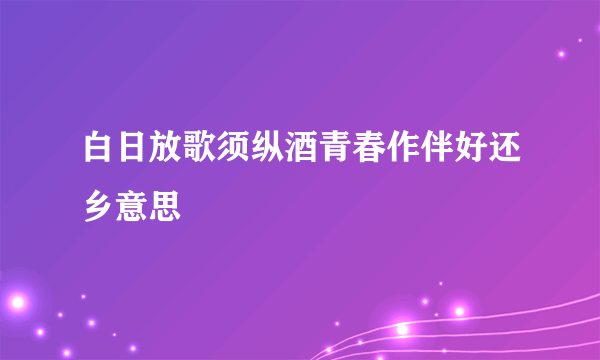 白日放歌须纵酒青春作伴好还乡意思