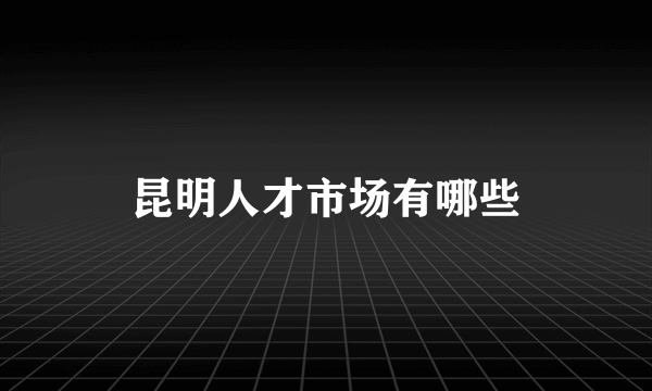 昆明人才市场有哪些