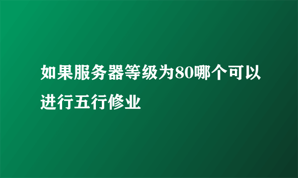 如果服务器等级为80哪个可以进行五行修业