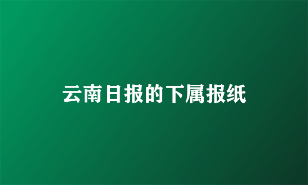 云南日报的下属报纸