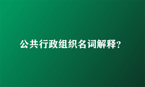 公共行政组织名词解释？