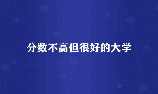 分数不高但很好的大学