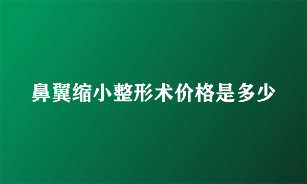 鼻翼缩小整形术价格是多少