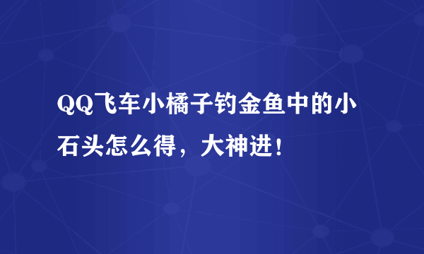 QQ飞车小橘子钓金鱼中的小石头怎么得，大神进！