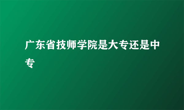 广东省技师学院是大专还是中专