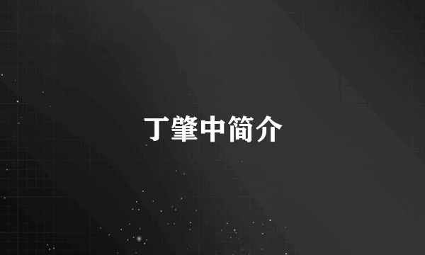 丁肇中简介