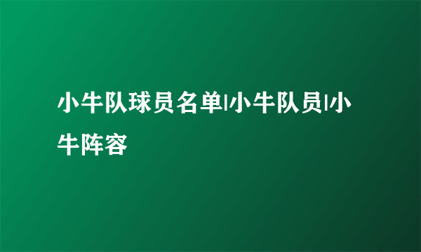 小牛队球员名单|小牛队员|小牛阵容
