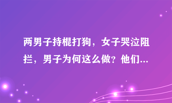 两男子持棍打狗，女子哭泣阻拦，男子为何这么做？他们的行为有多恶劣？