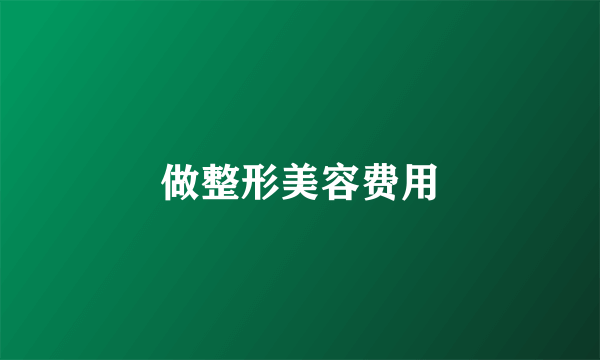 做整形美容费用