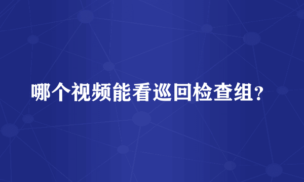 哪个视频能看巡回检查组？