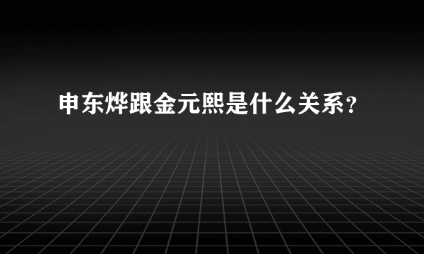 申东烨跟金元熙是什么关系？