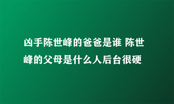 凶手陈世峰的爸爸是谁 陈世峰的父母是什么人后台很硬