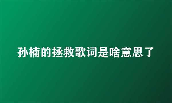 孙楠的拯救歌词是啥意思了