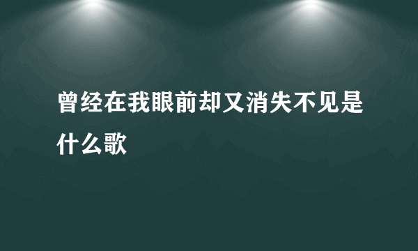 曾经在我眼前却又消失不见是什么歌