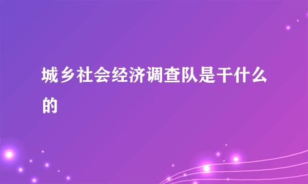 城乡社会经济调查队是干什么的