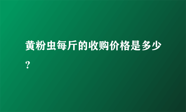 黄粉虫每斤的收购价格是多少？
