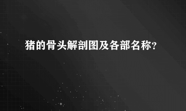 猪的骨头解剖图及各部名称？