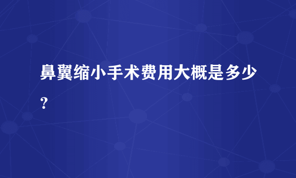鼻翼缩小手术费用大概是多少？