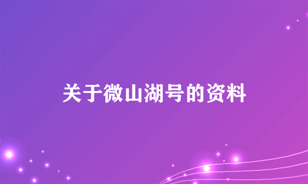 关于微山湖号的资料