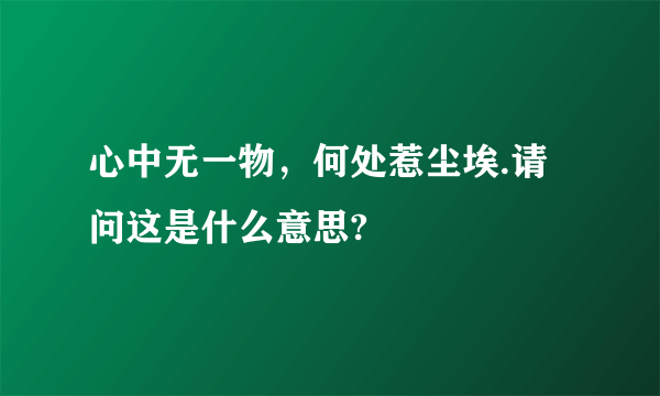 心中无一物，何处惹尘埃.请问这是什么意思?