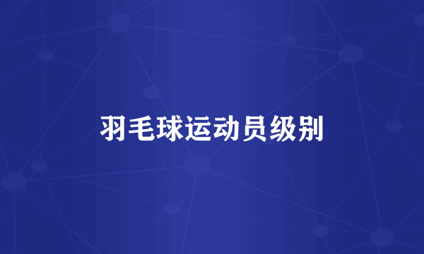 羽毛球运动员级别
