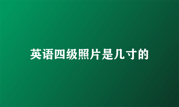 英语四级照片是几寸的