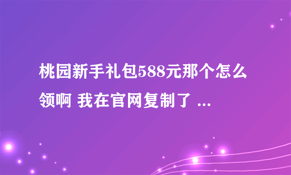 桃园新手礼包588元那个怎么领啊 我在官网复制了 在游戏上领还是在官网上领啊