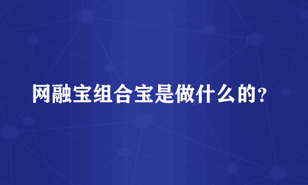 网融宝组合宝是做什么的？