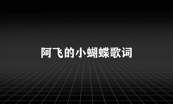 阿飞的小蝴蝶歌词