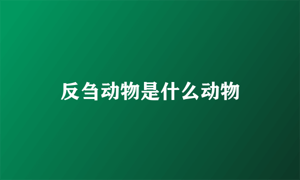 反刍动物是什么动物
