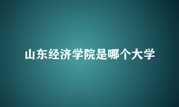 山东经济学院是哪个大学