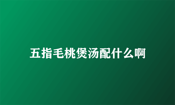 五指毛桃煲汤配什么啊