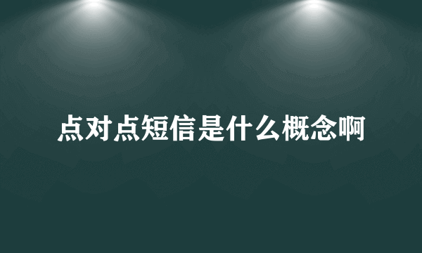 点对点短信是什么概念啊