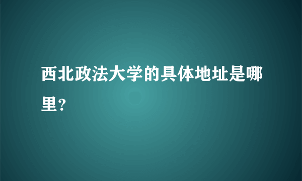 西北政法大学的具体地址是哪里？