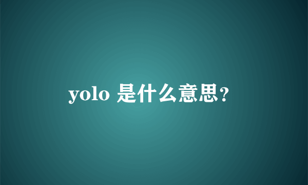 yolo 是什么意思？