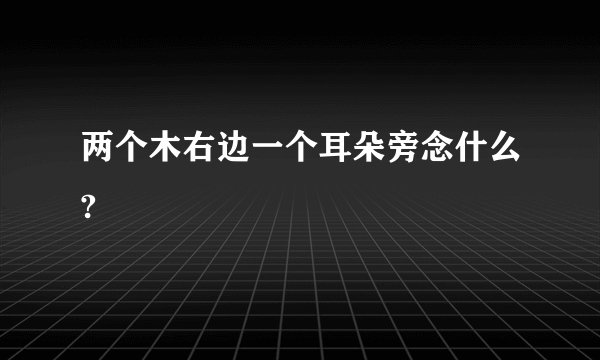 两个木右边一个耳朵旁念什么?