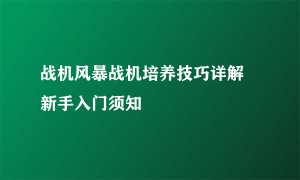 战机风暴战机培养技巧详解 新手入门须知