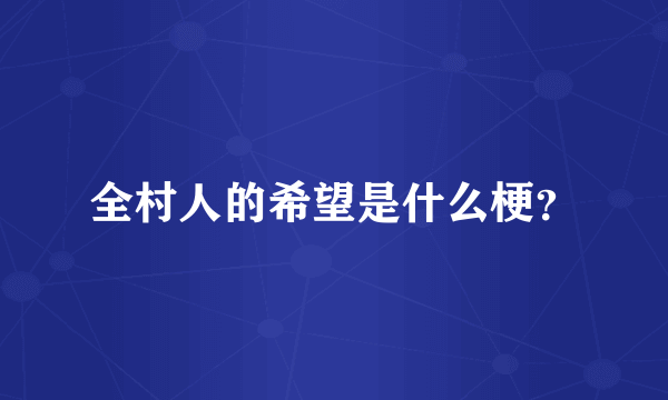全村人的希望是什么梗？