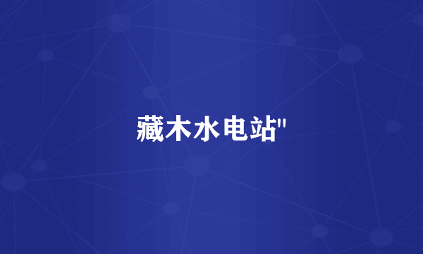 藏木水电站