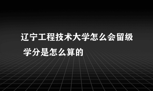 辽宁工程技术大学怎么会留级 学分是怎么算的