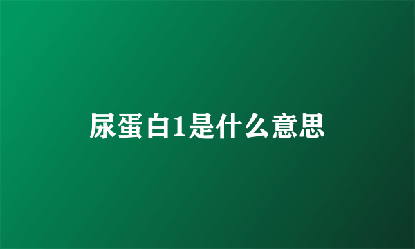 尿蛋白1是什么意思