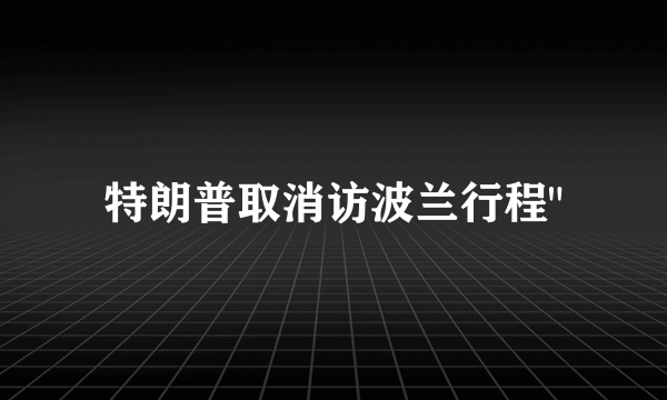 特朗普取消访波兰行程