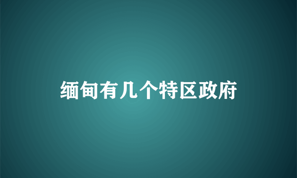 缅甸有几个特区政府