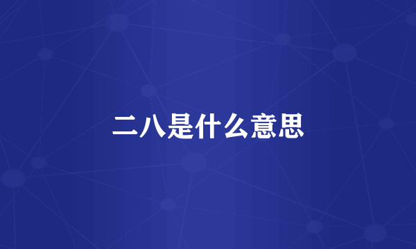 二八是什么意思