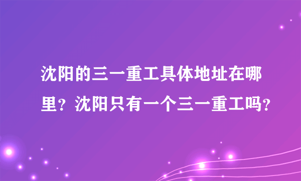 沈阳的三一重工具体地址在哪里？沈阳只有一个三一重工吗？